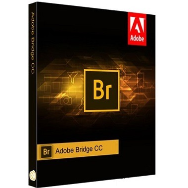Adobe Bridge 2024