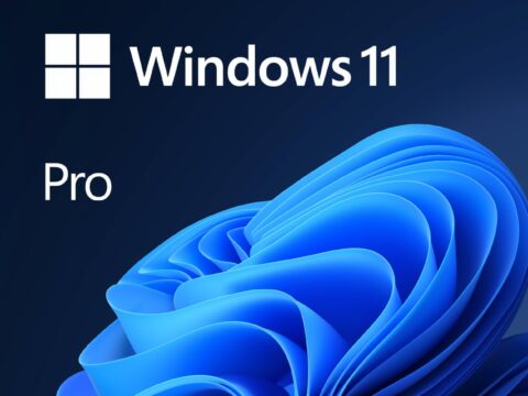 Windows 11 Pro download