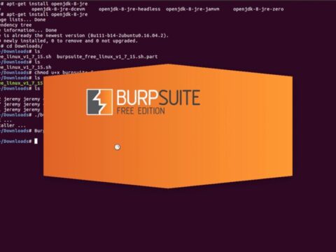 Burp Suite download free