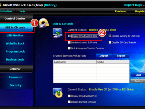 GiliSoft USB Lock download free